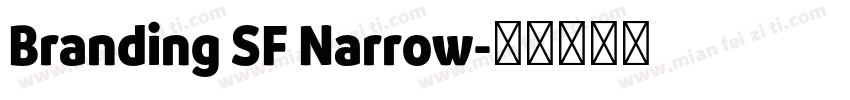 Branding SF Narrow字体转换